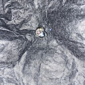 Charm fits pandora bracelet not an authentic pandora product